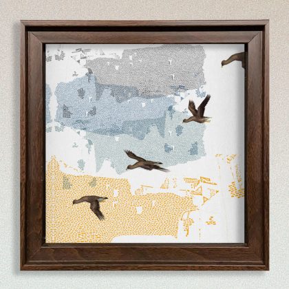 Birds of Leh Wall Art
