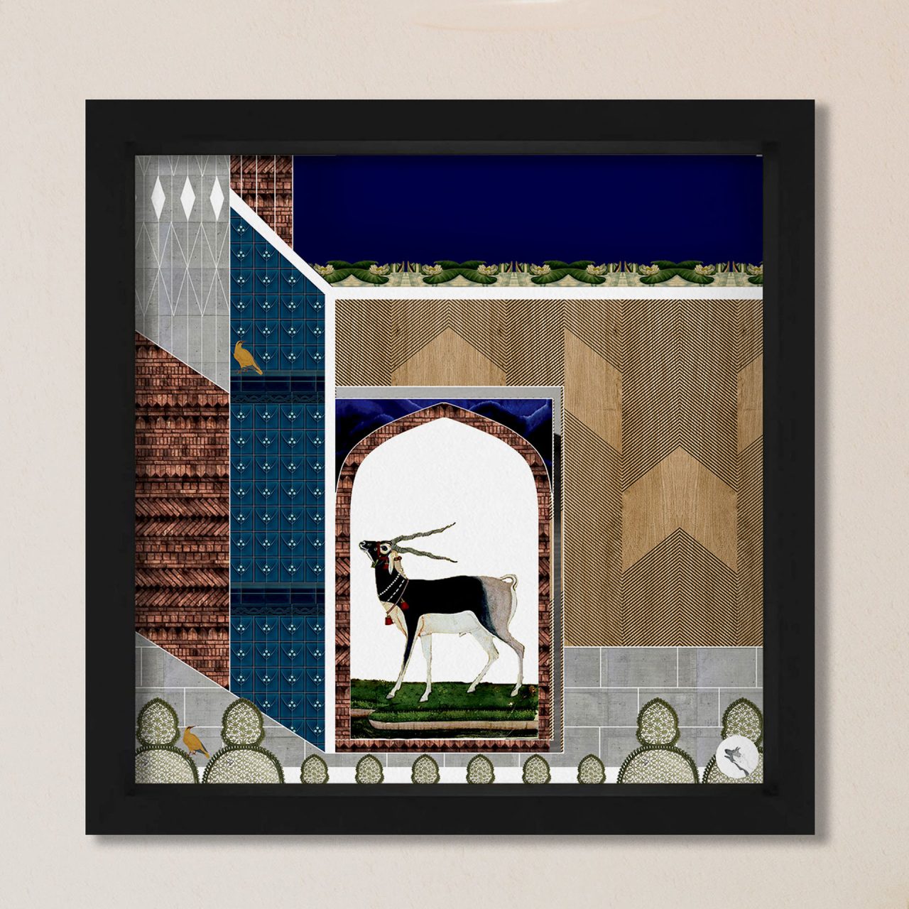 Black Buck