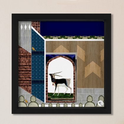 Black Buck
