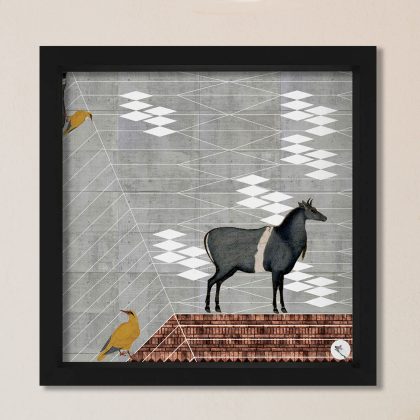 HE'S A NILGAI