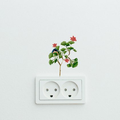 Little Joys Easy Wall Decals