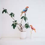Dress Tropical For Work Easy Wall Decals