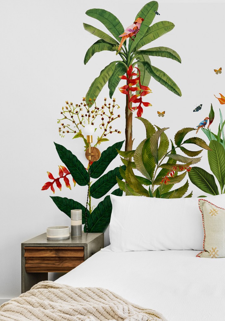 Tropical Jungle