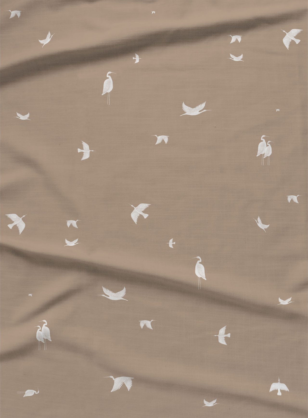 Paper-planes