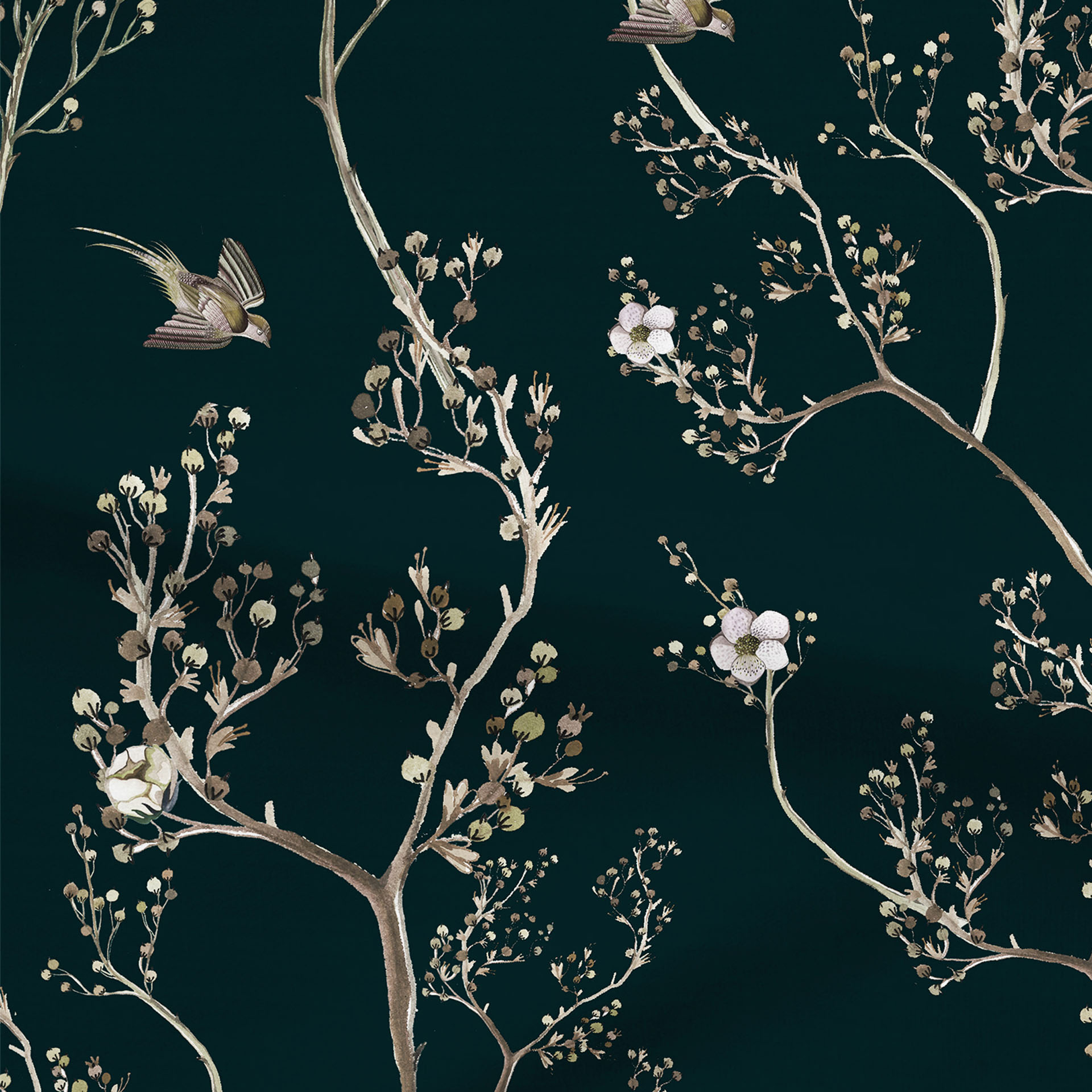 Twigs and Vines