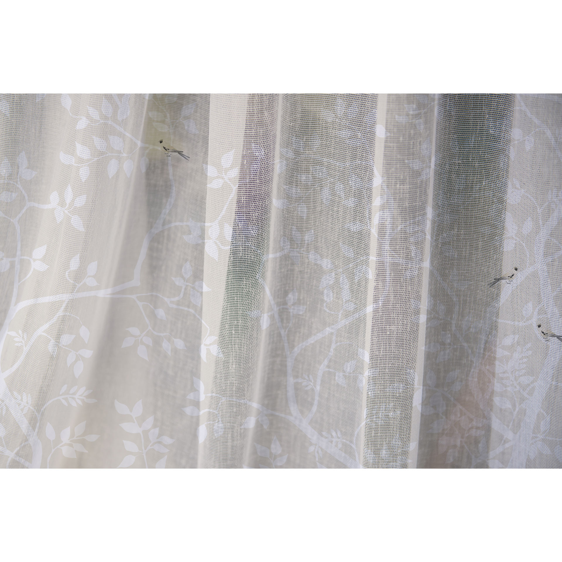 Enchanted - Sheer