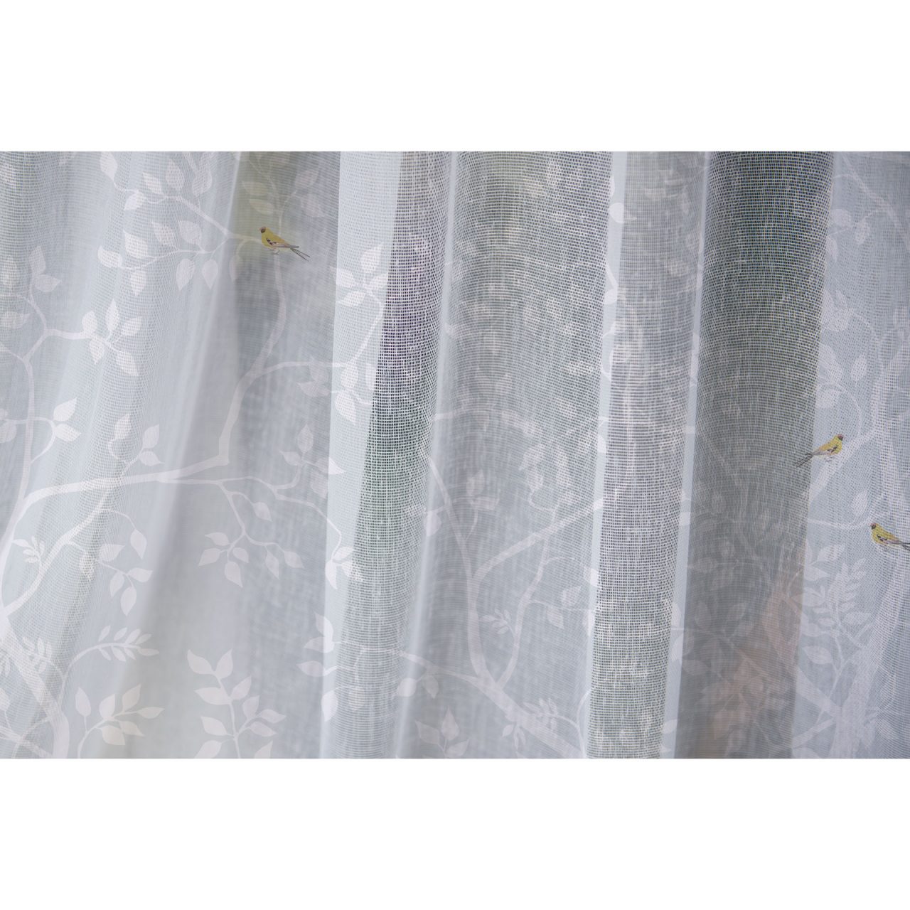 Frozen Dream - Sheer