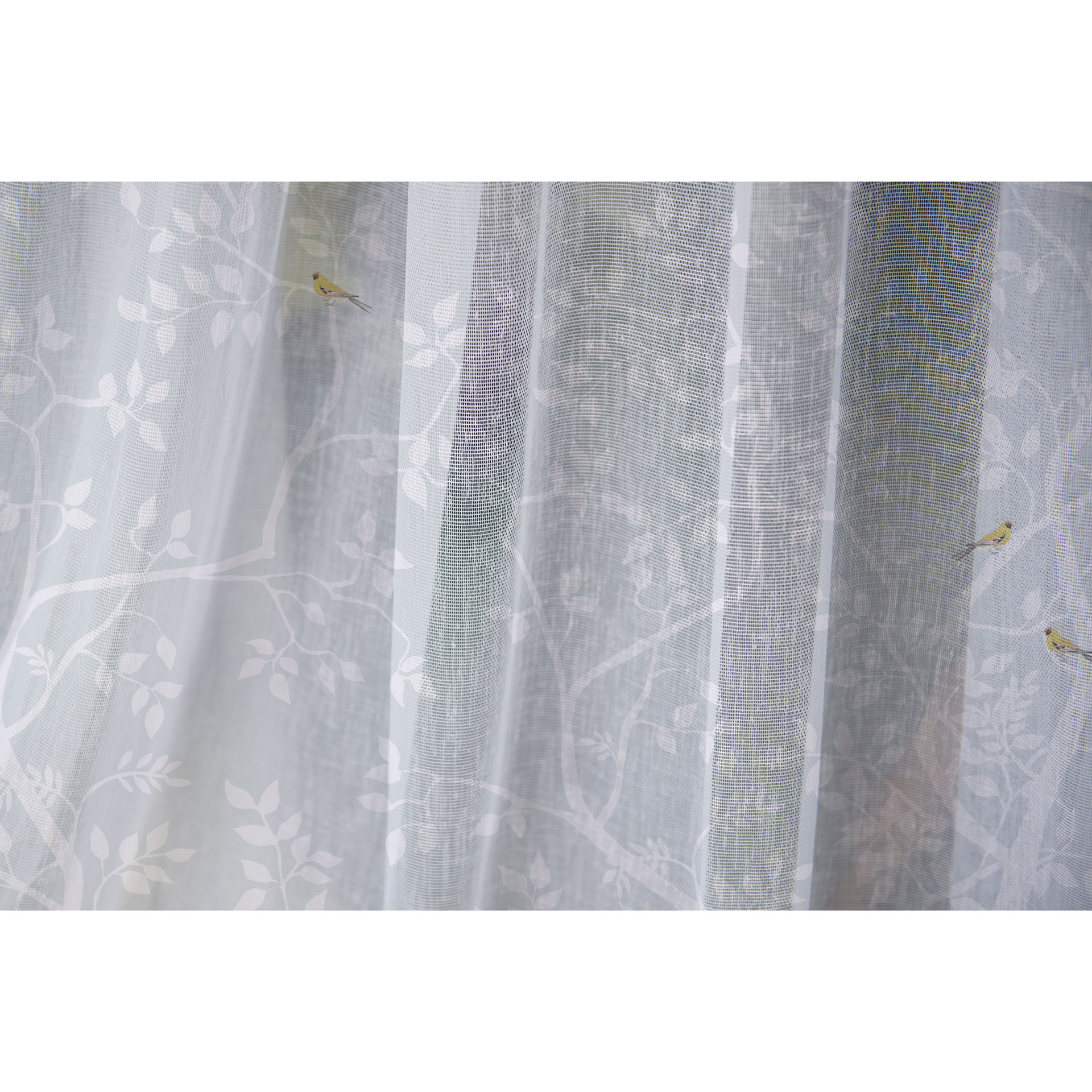 Frozen Dream - Sheer