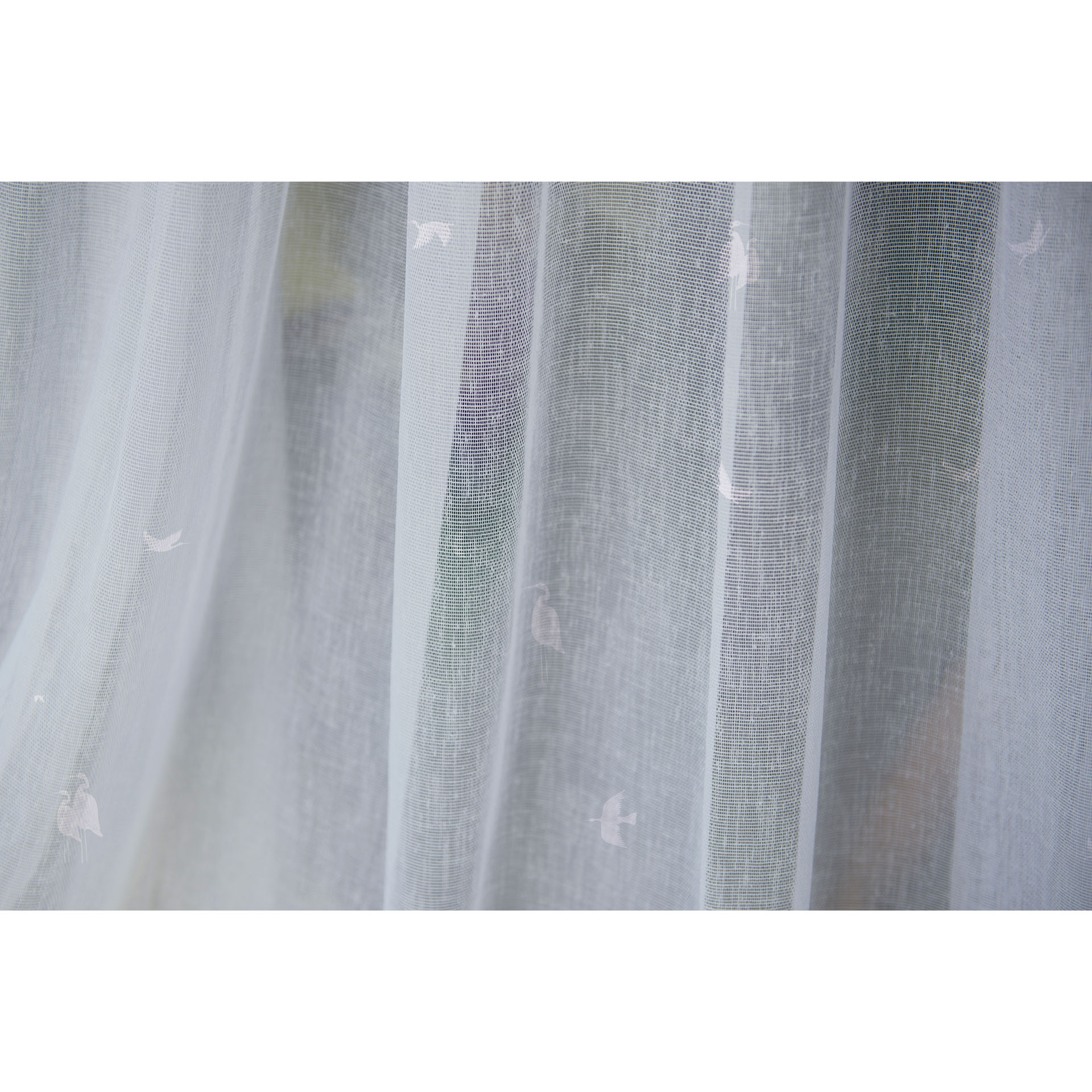 Shooting Stars - Sheer