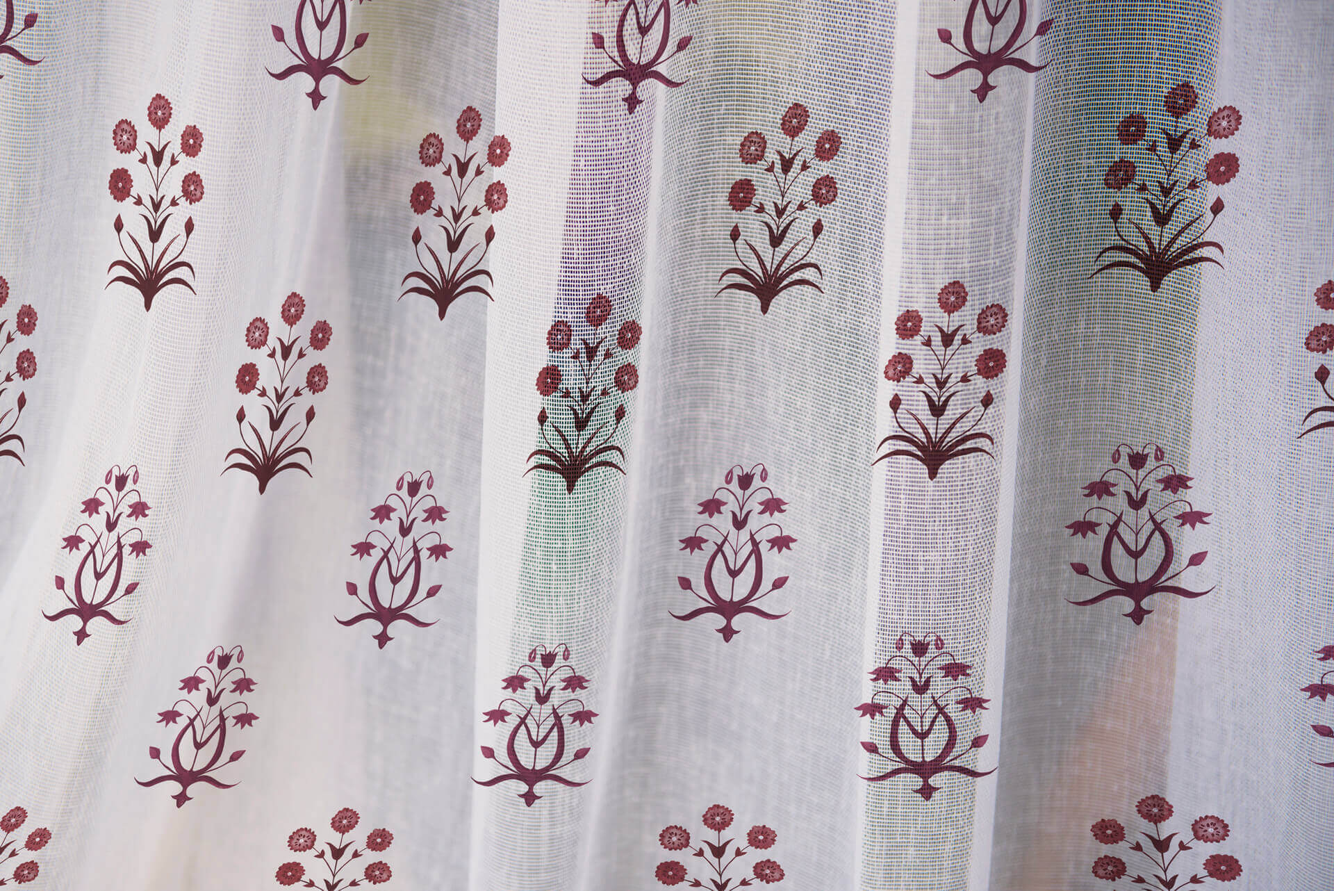 Summer Hue - Sheer